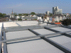 bonn-01_small.gif