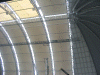 tropical-02_small.gif
